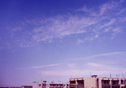 Ci int.