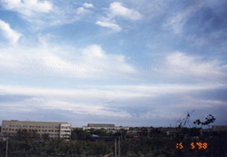 Ci sp.